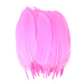 Wholesale Hot-Selling Gorgeous Natural Feather for Decorations